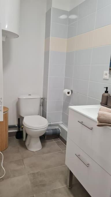شقة Le Green Parc, Libourne Hypercentre, Netflix, Clim المظهر الخارجي الصورة